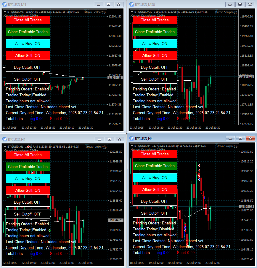 What the MT4 & MT5 setup looks like